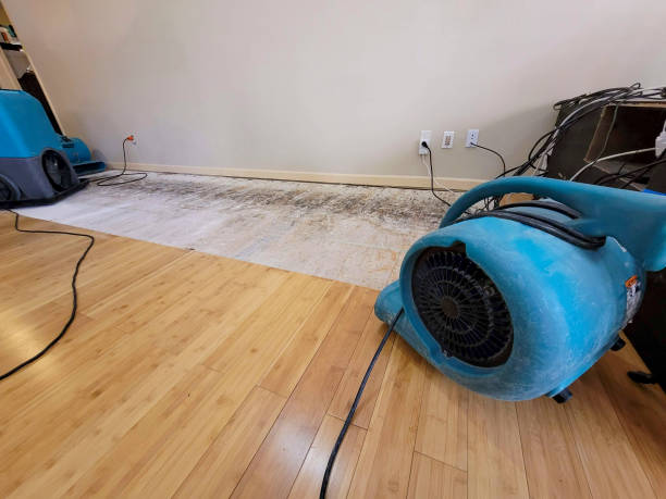 Professional Basement Flood Cleanup technician working in Castroville, CA